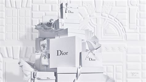 christian dior official website france.